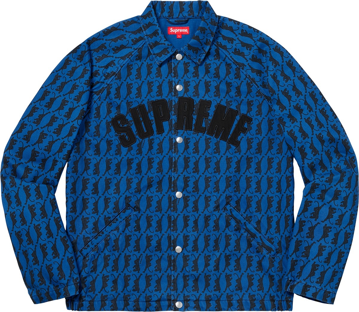 Snap Front Twill Jacket view 9